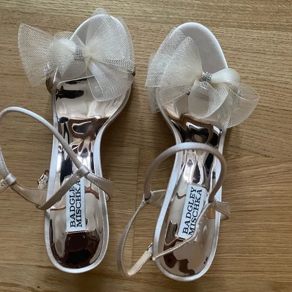 Badgley Mischka Shoes Badgley Mischka Bridal Embellished Tulle - Main Image